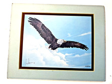 Enoch kelly haney for sale  Vian
