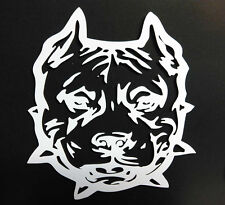 Pit bull dogs for sale  San Antonio