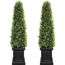 3.5ft boxwood outdoor for sale  Logan