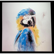 Macaw parrot signed for sale  Springfield