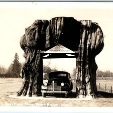 C1940s arlington cedar for sale  Evansdale