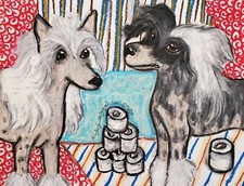 Chinese crested hoarding for sale  Colbert