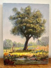 Original oil landscape for sale  San Diego