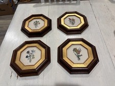 Vintage italian botanical for sale  Toccoa