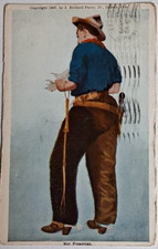 Postcard forgotten cowboy for sale  La Follette