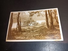 View trees rudyard for sale  LEYBURN