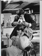 C6302 francoise hardy gebraucht kaufen C6302 francoise hardy gebraucht kaufen  Hamburg