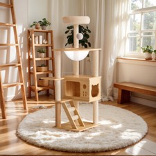 Indoor cat tree for sale  USA