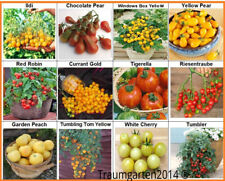 Tomate set cherry gebraucht kaufen  Bischofsheim