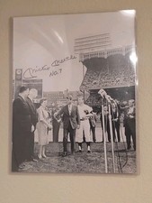 Mickey mantle robert for sale  Henderson