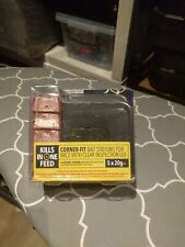Big cheese rat for sale  LONDON