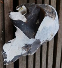 Hühnergott lochstein 11cm gebraucht kaufen  Schwerin