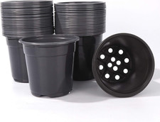 100 pack black for sale  Plainfield