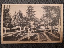 Cartolina bagnoli irpino usato  Roma