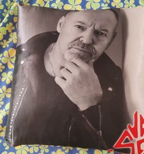Cuscino vasco rossi usato  Ruvo di Puglia