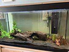 Aquarium fish tank for sale  BOURNE END