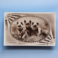 Postcard real photo usato  Spedire a Italy