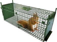 Animal cage trap for sale  SALFORD