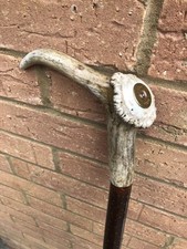 deer antler walking stick for sale deer antler walking stick for sale KETTERING