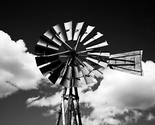 Print desert windmill for sale  Topsham