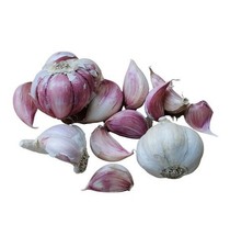 Aglio rosso sulmona usato  Agliana