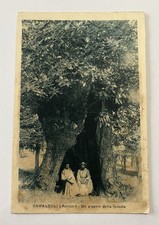 CAMALDOLI ( AREZZO ) UN GIGANTE DELLA FORESTA 1930, usado comprar usado  Enviando para Brazil