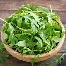 1200 organic arugula for sale  Buffalo