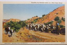 Texas west range for sale  Wilmington