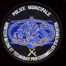 Police municipale moniteur d'occasion  Saint-Etienne-de-Tulmont