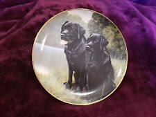 Black labrador sporting for sale  FARINGDON