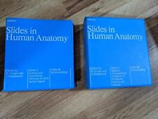Usado, Sobotta Slides In Human Anatomy Series 3 & 4 Aproximadamente 300 Slides 33mm comprar usado  Enviando para Brazil