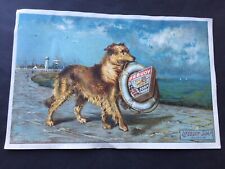 C1905 vintage lifebuoy for sale  VERWOOD
