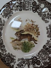 Royal worcester palissy for sale  NEWPORT PAGNELL