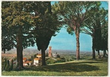 Fagagna udine collina usato  Isola Vicentina