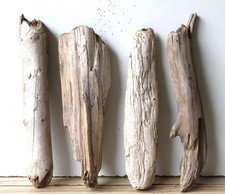 Treibholz schwemmholz driftwoo gebraucht kaufen  Halblech