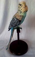 Vintage blue budgerigar for sale  Saint Petersburg