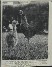 1968 press photo for sale  Memphis