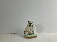 Blue collared pug for sale  Pittsburgh