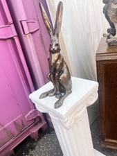 hares for sale hares for sale LINCOLN