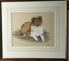 Shetland collie original for sale  PERTH
