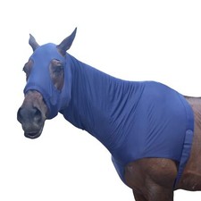 Stretch horse slinky for sale  USA