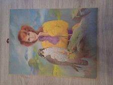 Three girl falcon for sale  EASTBOURNE