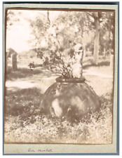 Algérie tipaza vase d'occasion  Pagny-sur-Moselle