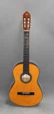 Essex custom acoustic for sale  BEDLINGTON