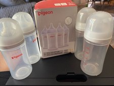 baby pigeon for sale baby pigeon for sale Scottsdale