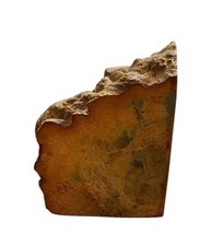 Petrified wood slab for sale  Henderson