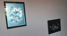 Bilder katzen gebraucht kaufen  Mellingen
