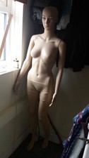 Full body female for sale  HALSTEAD