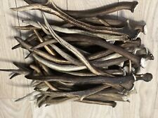 1kg deer antler for sale  DUNDEE