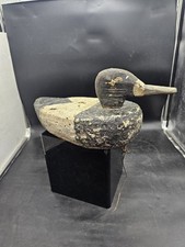 Canvasback drake duck for sale  Lakeland